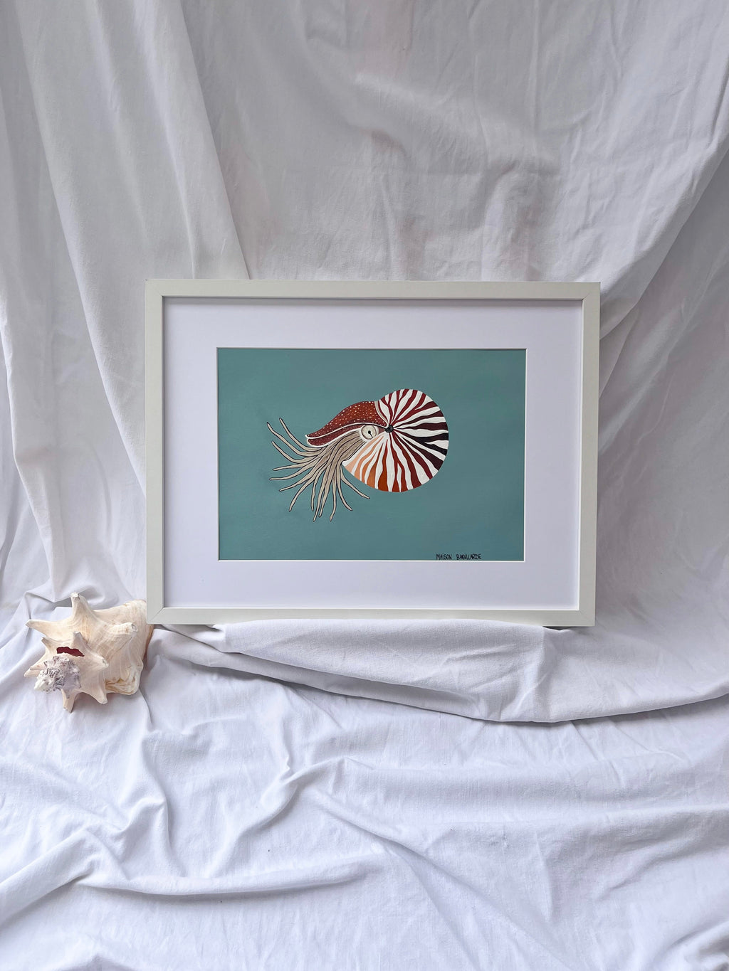 Peinture nautile