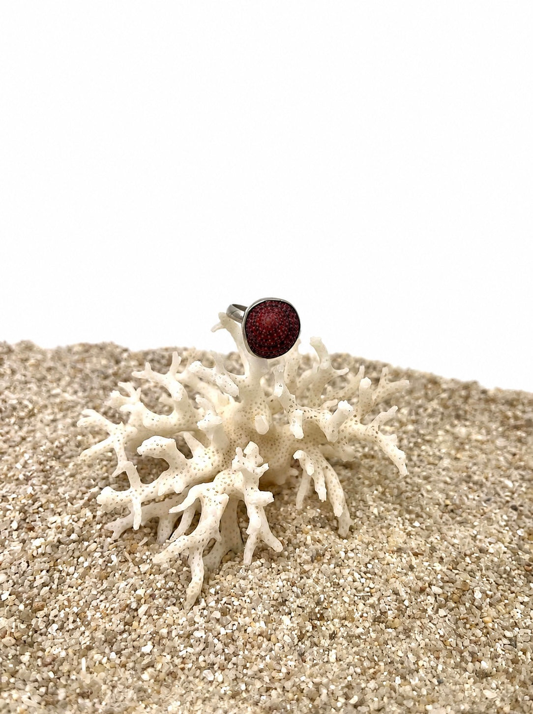 Bague Troques du genre rouge