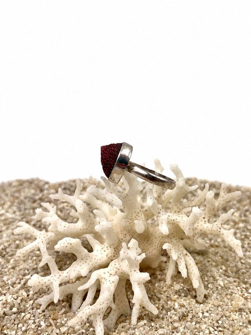 Bague Troques du genre rouge