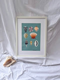 Peinture coquillages