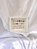 Cadre coquillages