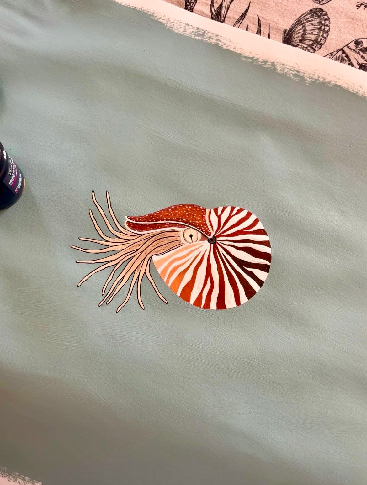 Peinture nautile