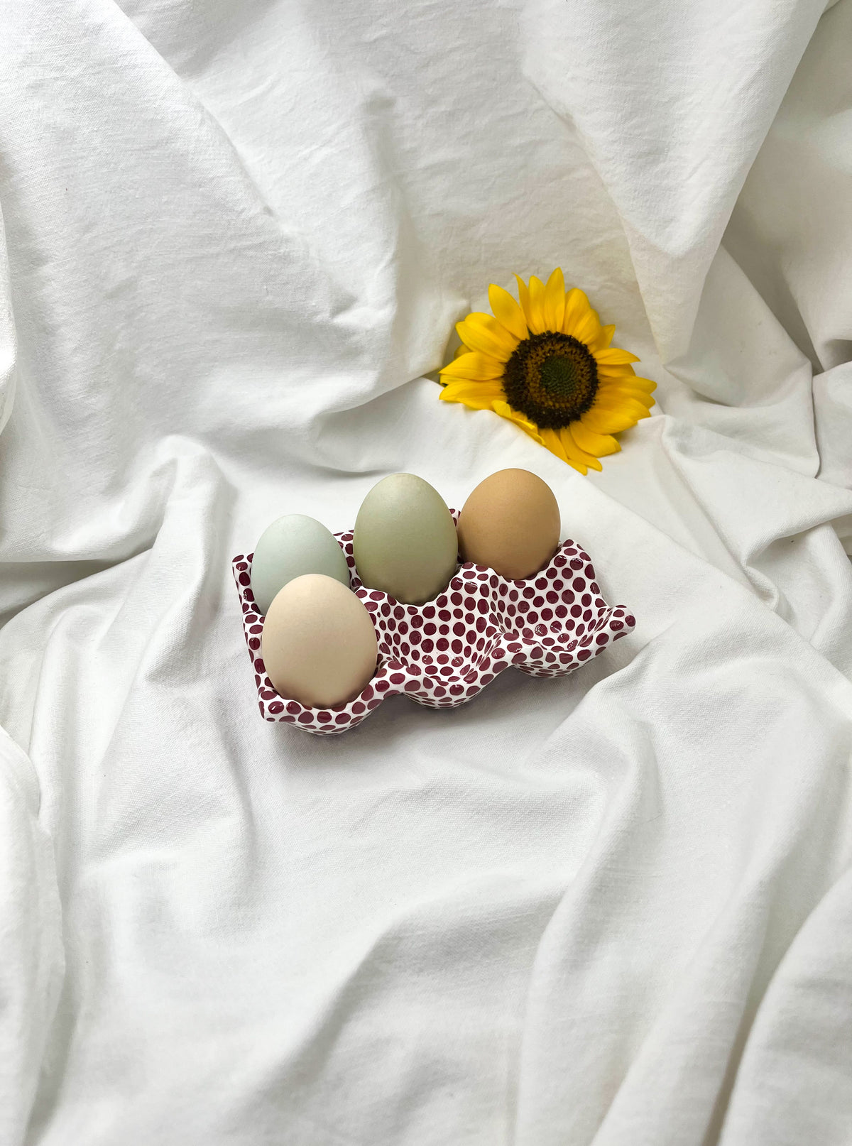 Porte-oeufs