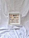 Cadre coquillages