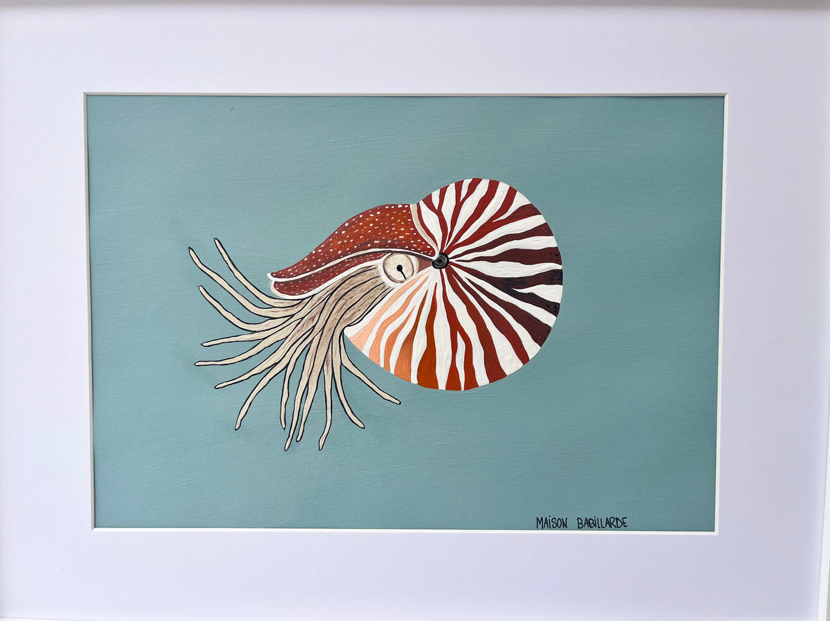 Peinture nautile