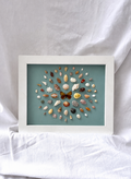 Cadre coquillages / papillon